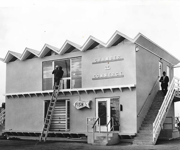 Dunedin Marina 3 Dec 1964