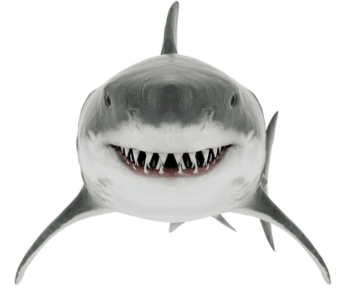 Shark p